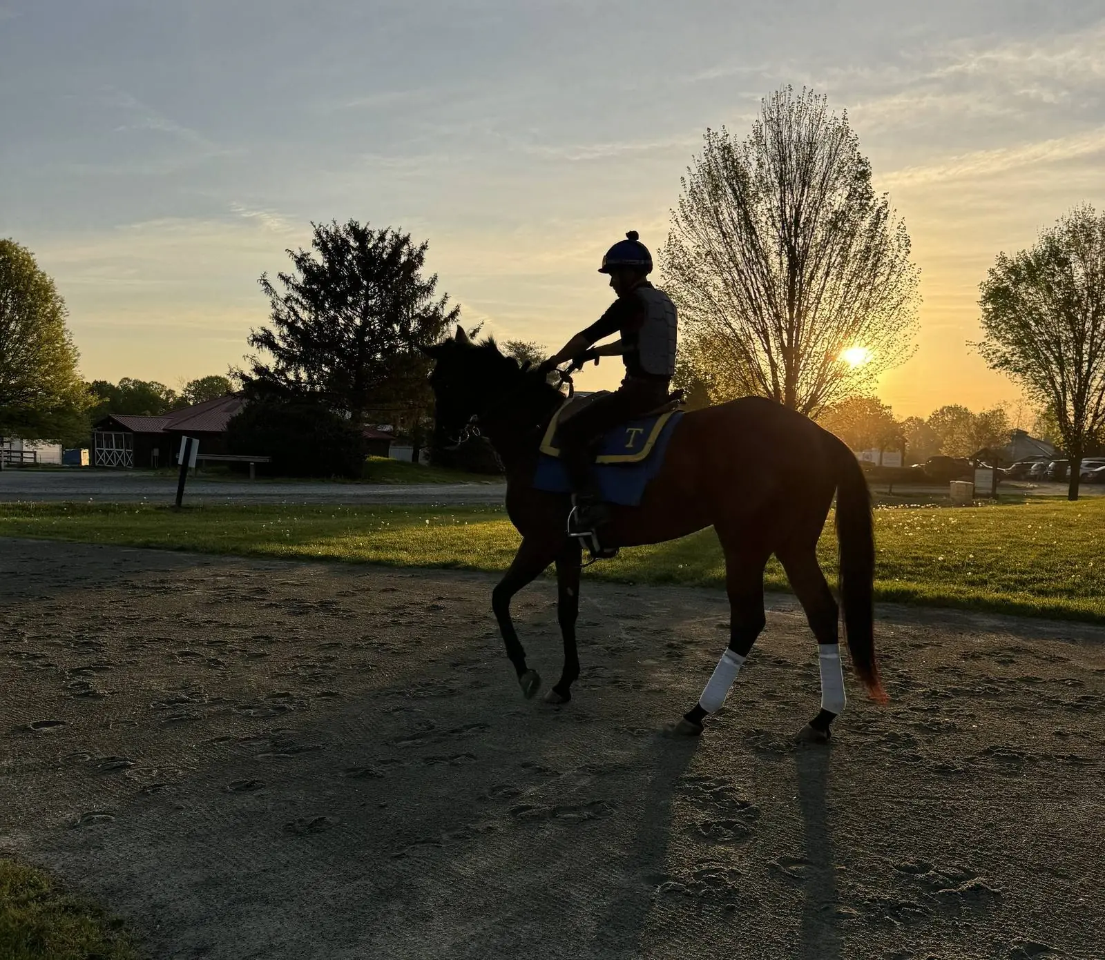 Rider and horse at sunrise