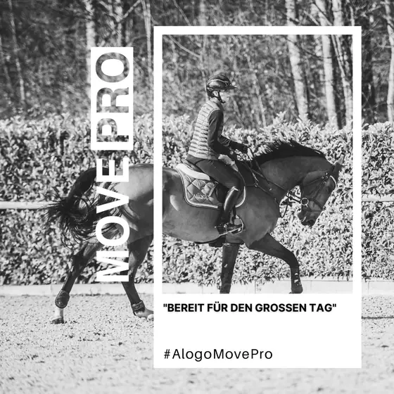 Bereit für den großen Tag
