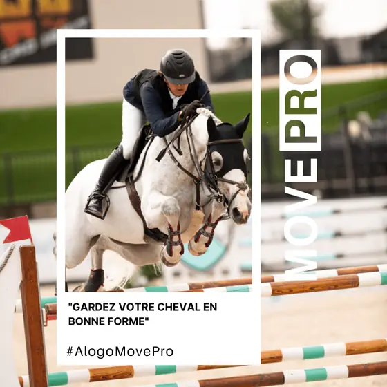 Gardez votre cheval en bonne forme