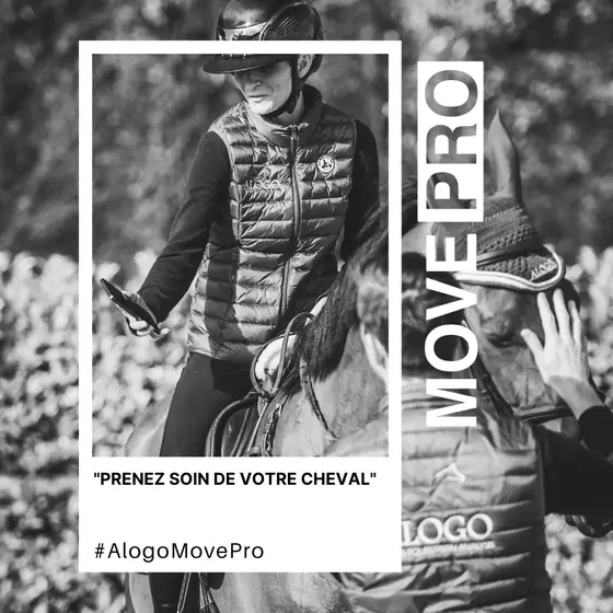 Prenez soin de votre cheval