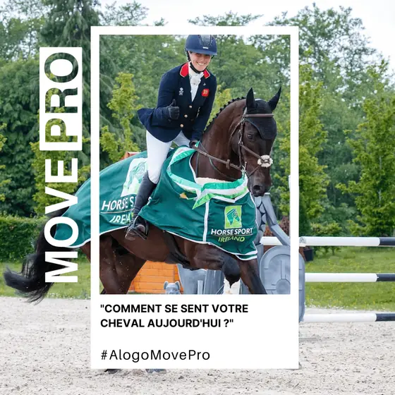 Comment se sent votre cheval aujourd’hui ?