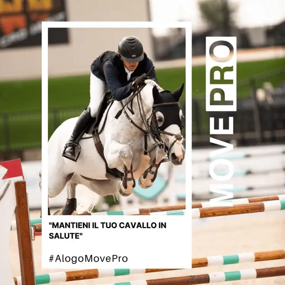 Mantenga in forma il Suo cavallo