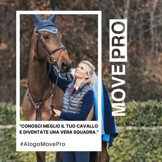 Comprenda meglio il Suo cavallo e costruisca un vero binomio