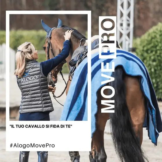 Lasci che il Suo cavallo si affidi a Lei