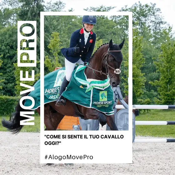 Come si sente il Suo cavallo oggi?