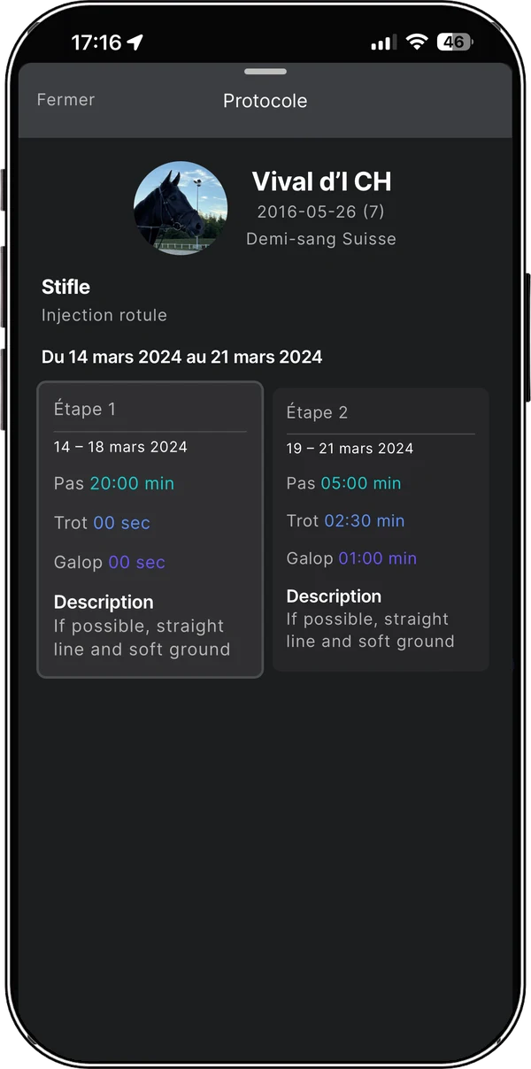 Rehabilitation protocol as seen in the rider’s app — steps with dates, gaits and durations, plus the vet’s instructions