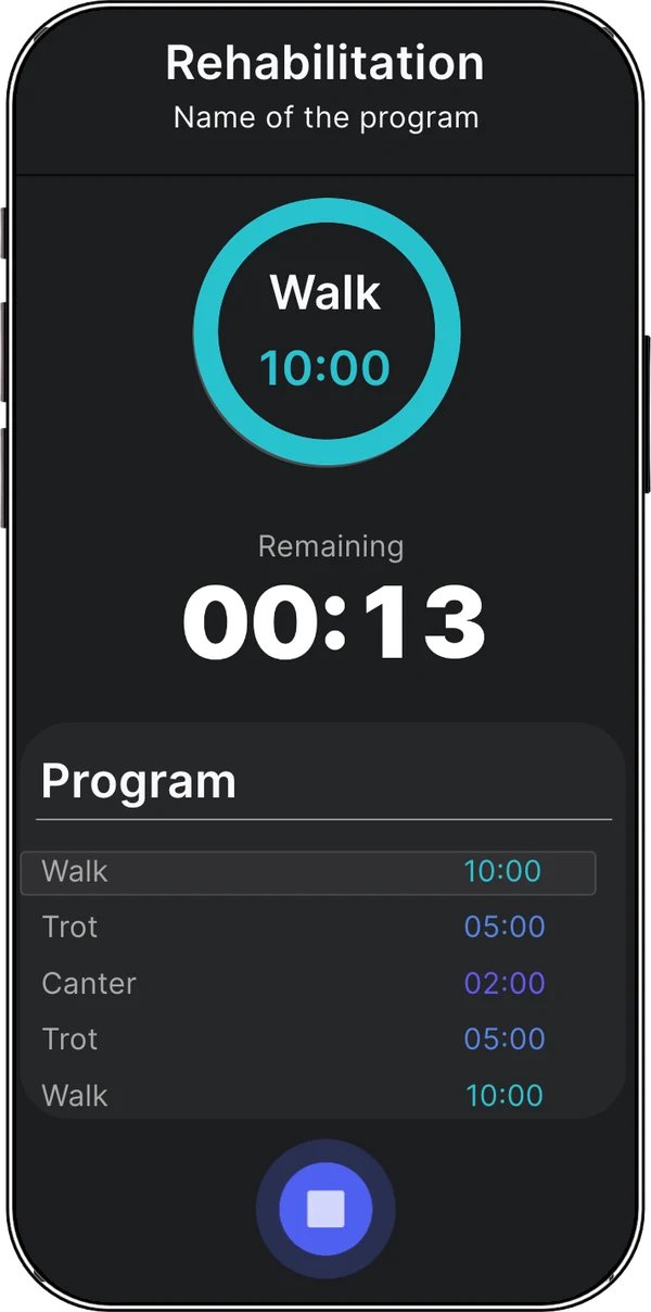 Recording guided by the programme — current gait with countdown and the session’s remaining gaits