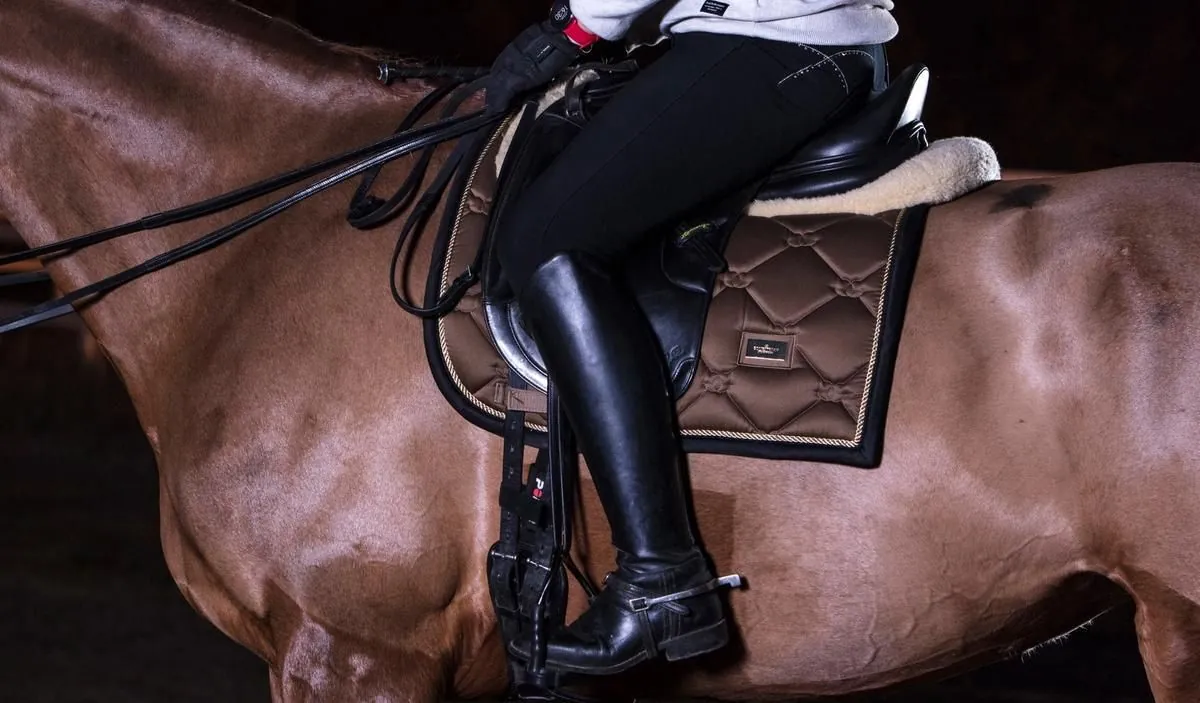Polar Equine™ heart rate sensor fitted on a horse