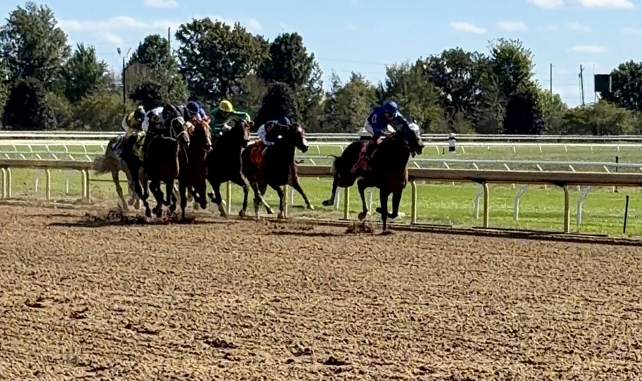 Racehorse training on the track