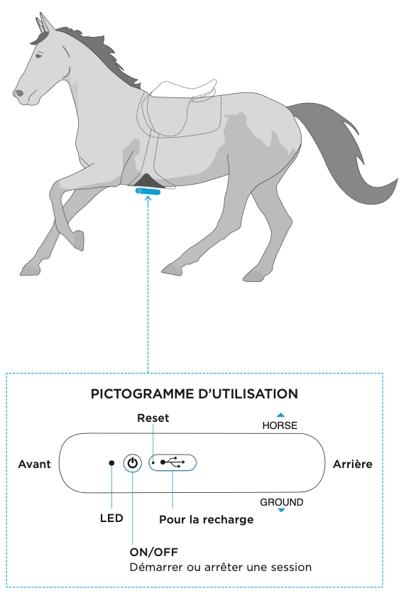 Bouton reset