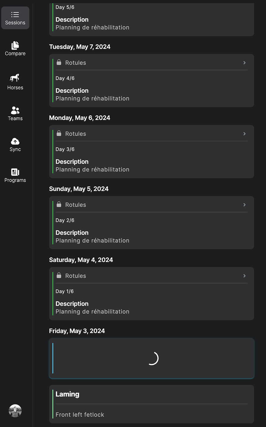 Sessions list showing the program day by day, with the diagnosis entry