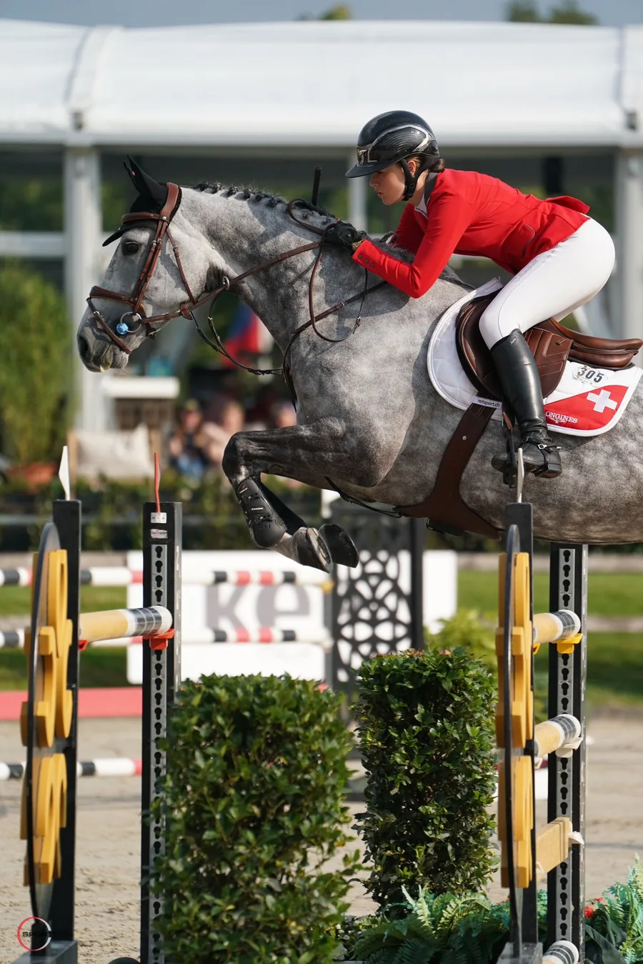Margault Blanchard, Alogo ambassador, competing in show jumping, her horse fitted with the Move Pro sensor.