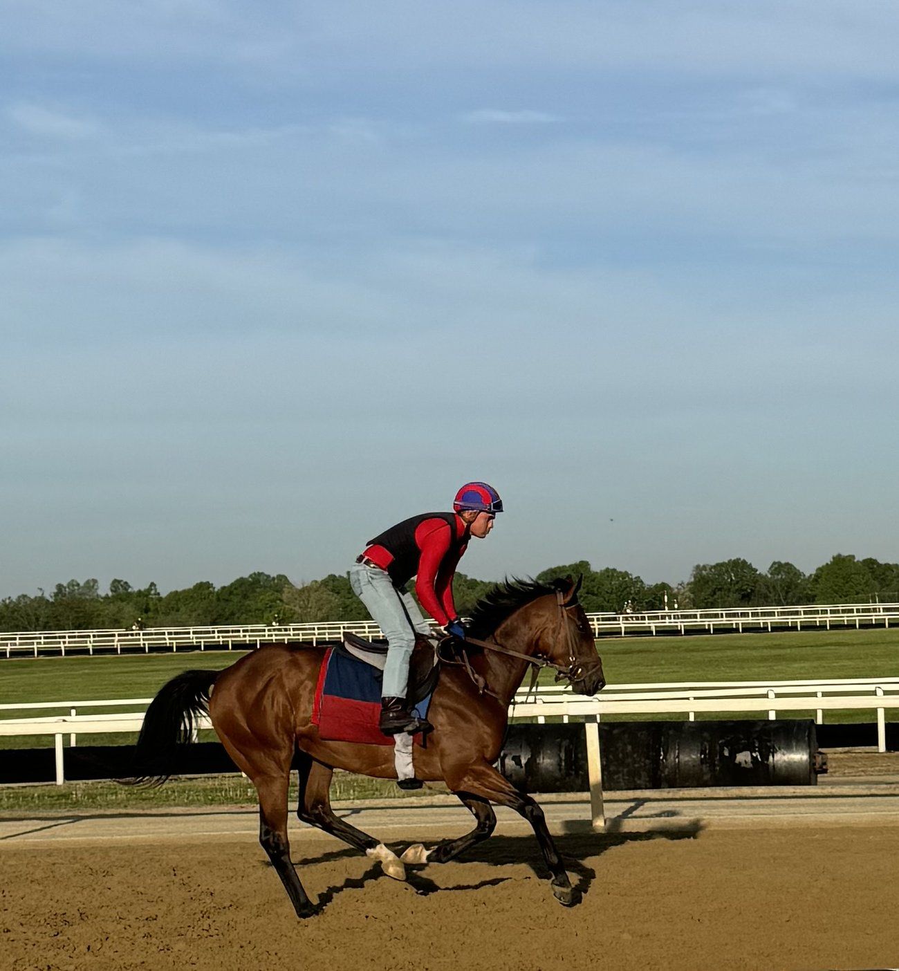 A racehorse breezing on the track at speed - the moment Alogo reads, stride by stride.